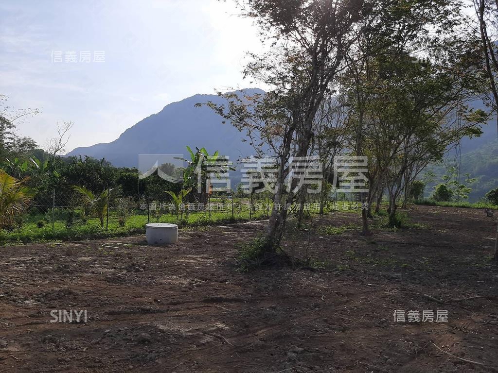 台東東河農牧用地Ａ房屋室內格局與周邊環境