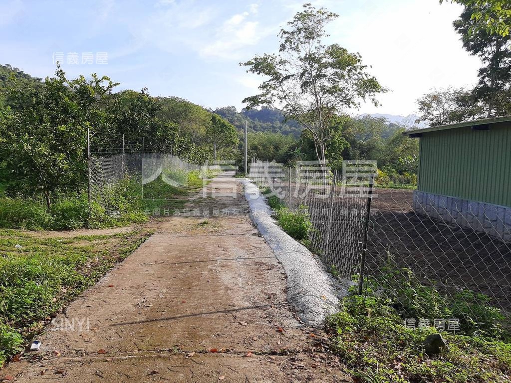台東東河農牧用地Ａ房屋室內格局與周邊環境
