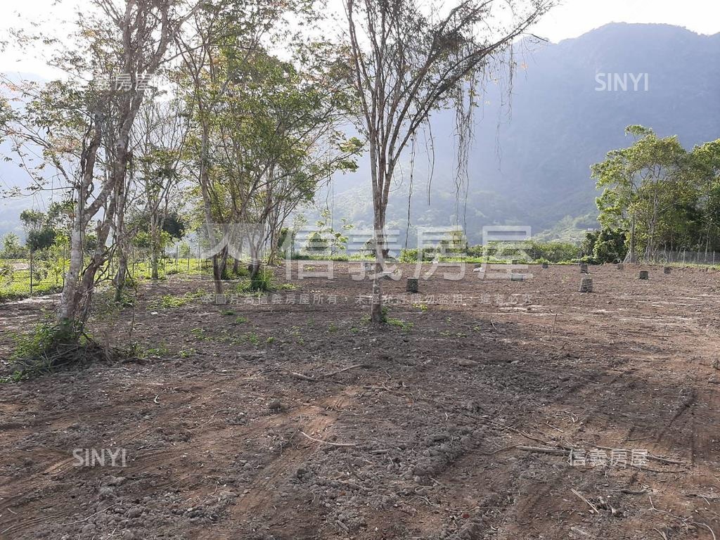 台東東河農牧用地Ａ房屋室內格局與周邊環境