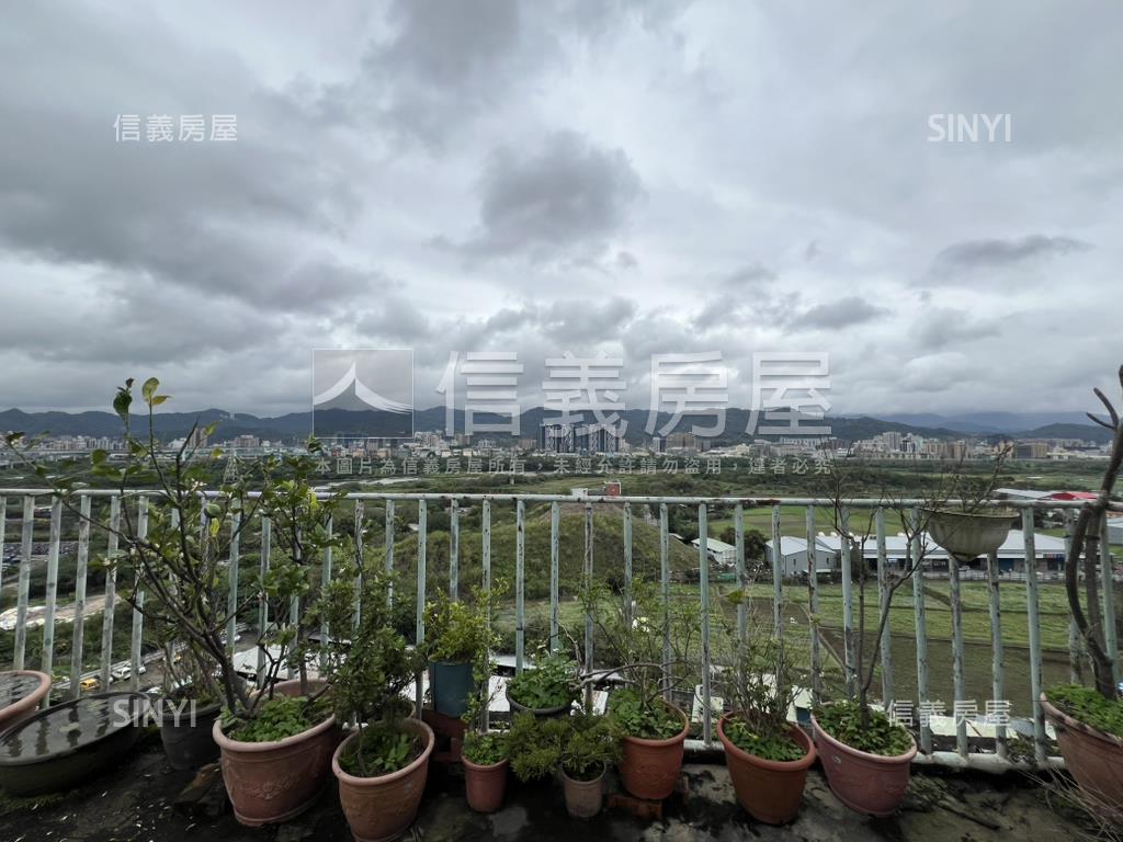 樹林新都市大氣磅礡房屋室內格局與周邊環境