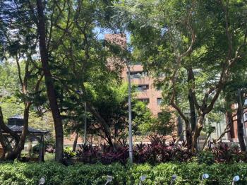 捷運公園人潮金店