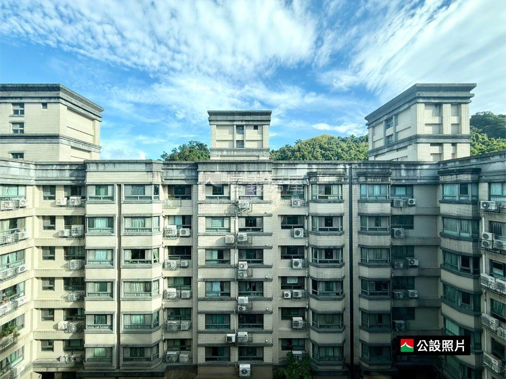 專任美麗新天地稀有大空間房屋室內格局與周邊環境