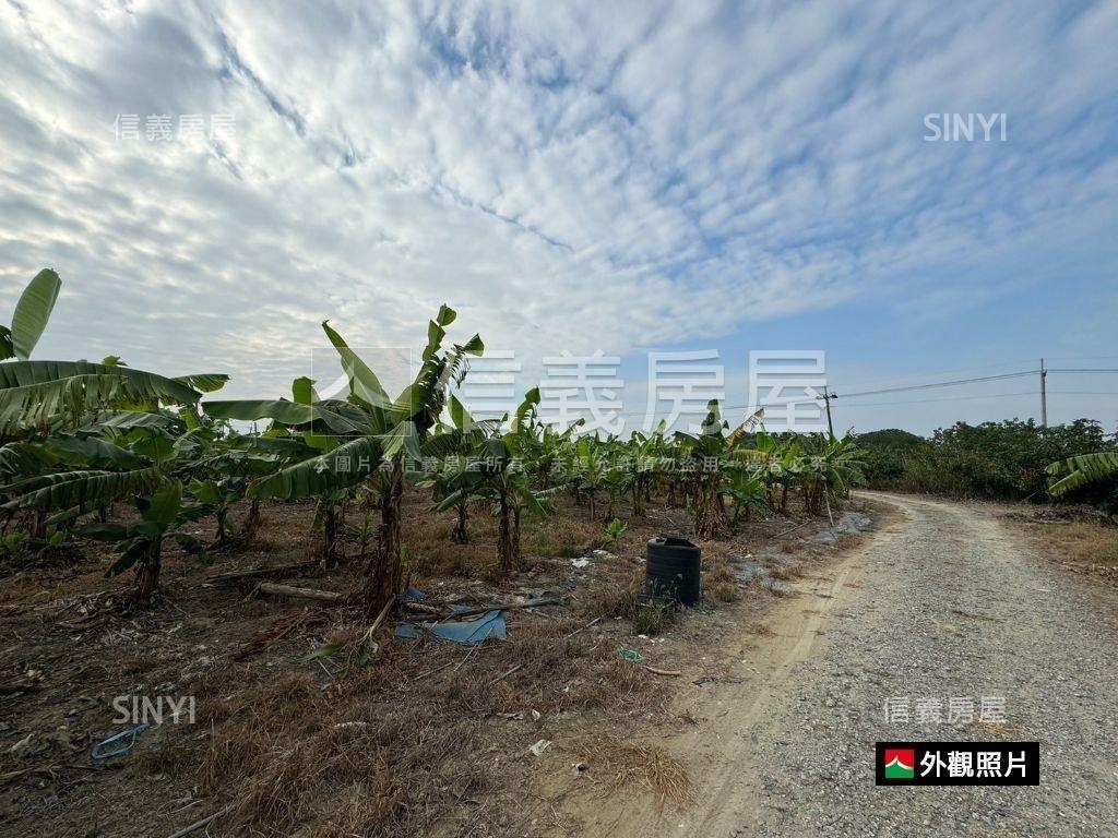 急售！新化礁坑子農地房屋室內格局與周邊環境