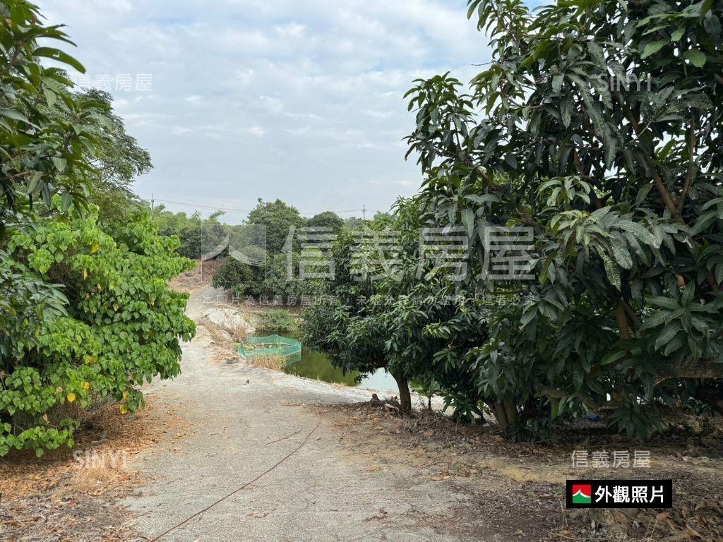 急售！新化礁坑子農地房屋室內格局與周邊環境
