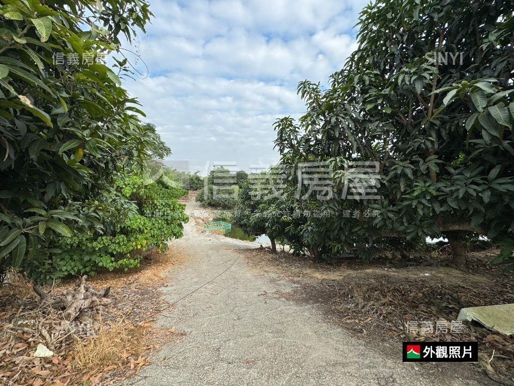 急售！新化礁坑子農地房屋室內格局與周邊環境