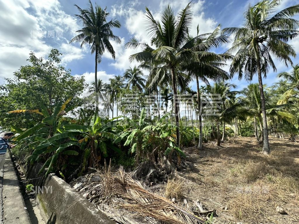 旗山臨路正農地（椰）房屋室內格局與周邊環境