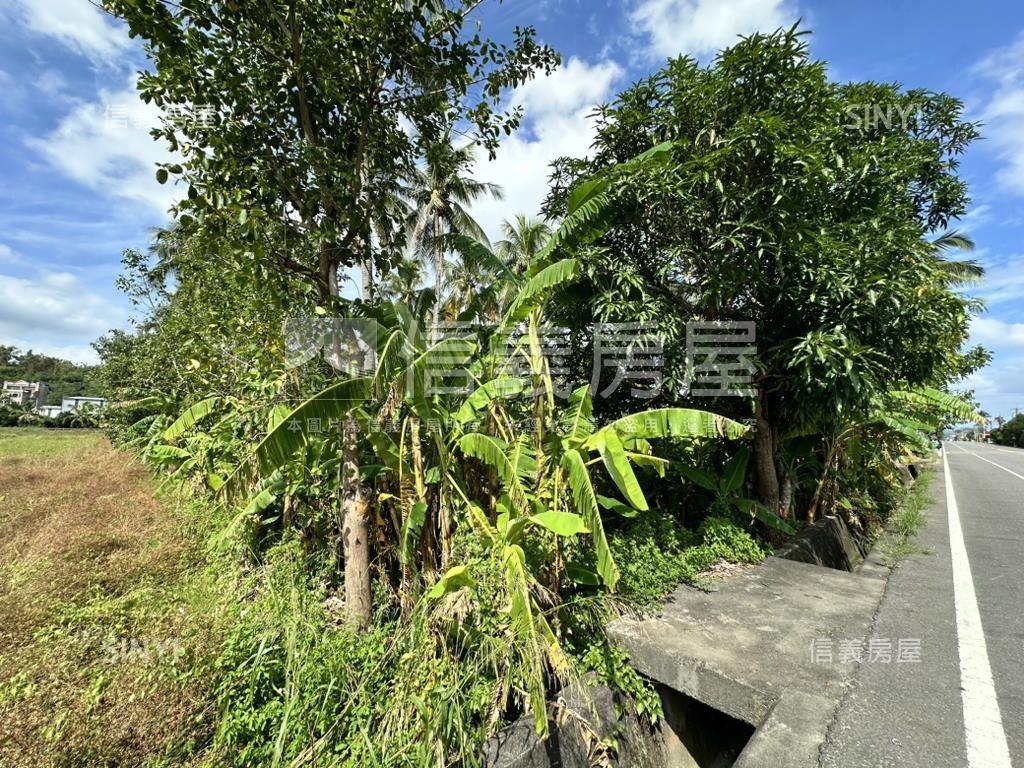 旗山臨路正農地（椰）房屋室內格局與周邊環境