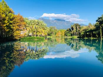 專任★雲山水土地★