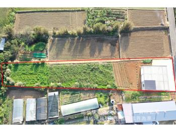 真愛＊新屋後庄開心農場