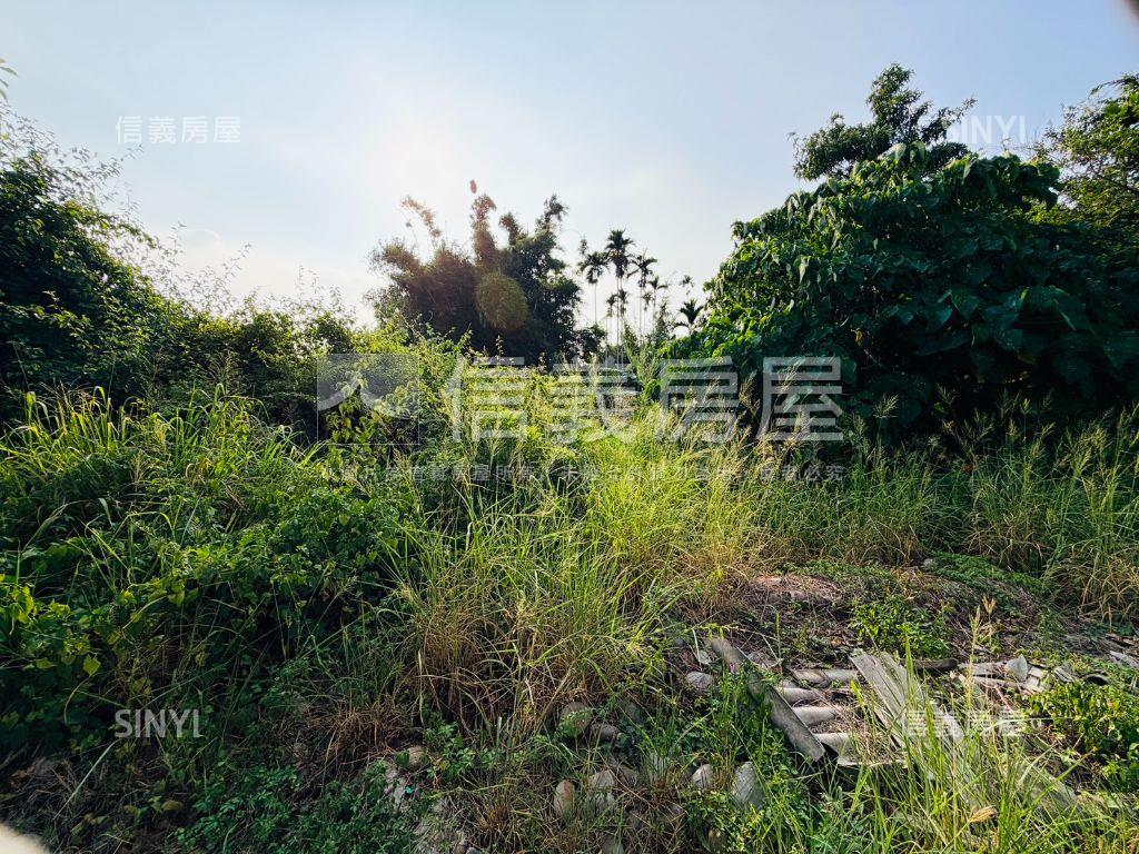 近未來市政路開心農場房屋室內格局與周邊環境