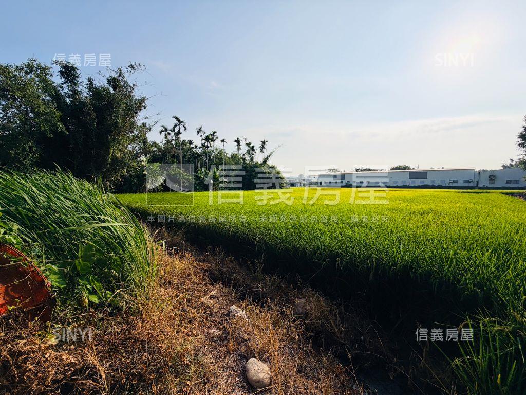 近未來市政路開心農場房屋室內格局與周邊環境
