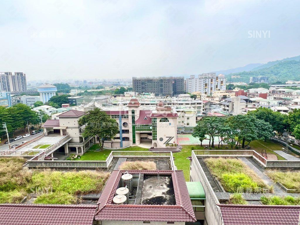 極光天境雙曜宅房屋室內格局與周邊環境