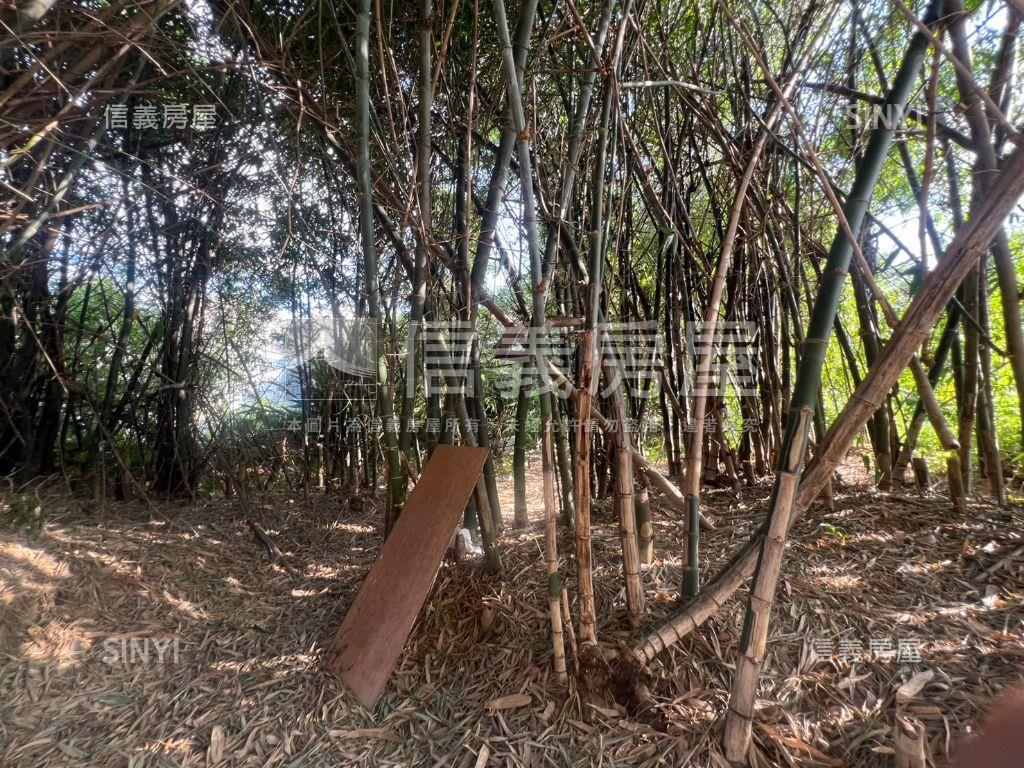 五股坑一段土地房屋室內格局與周邊環境