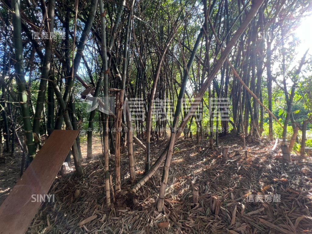 五股坑一段土地房屋室內格局與周邊環境