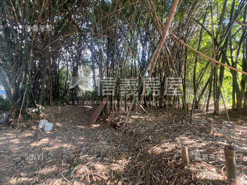 五股坑一段土地房屋室內格局與周邊環境