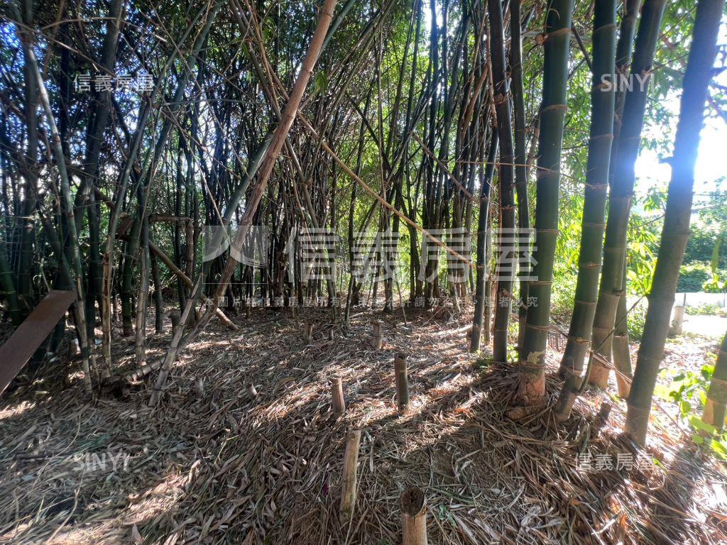 五股坑一段土地房屋室內格局與周邊環境