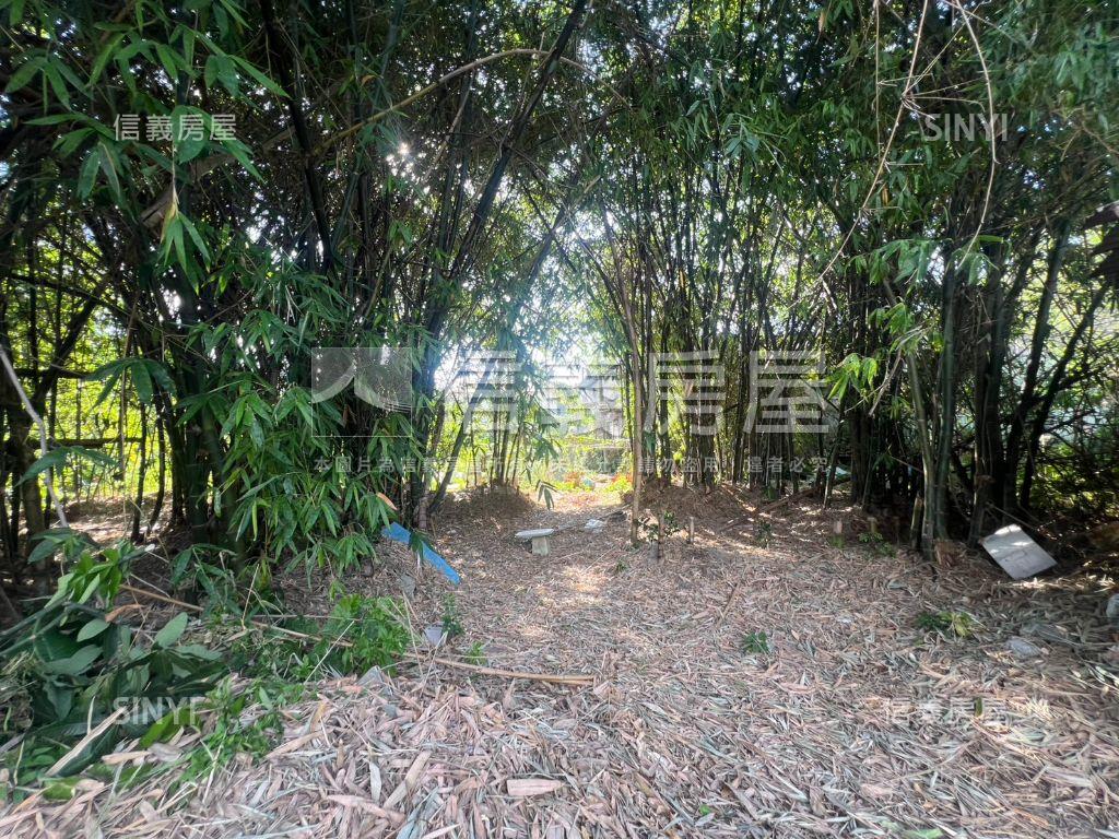 五股坑一段土地房屋室內格局與周邊環境