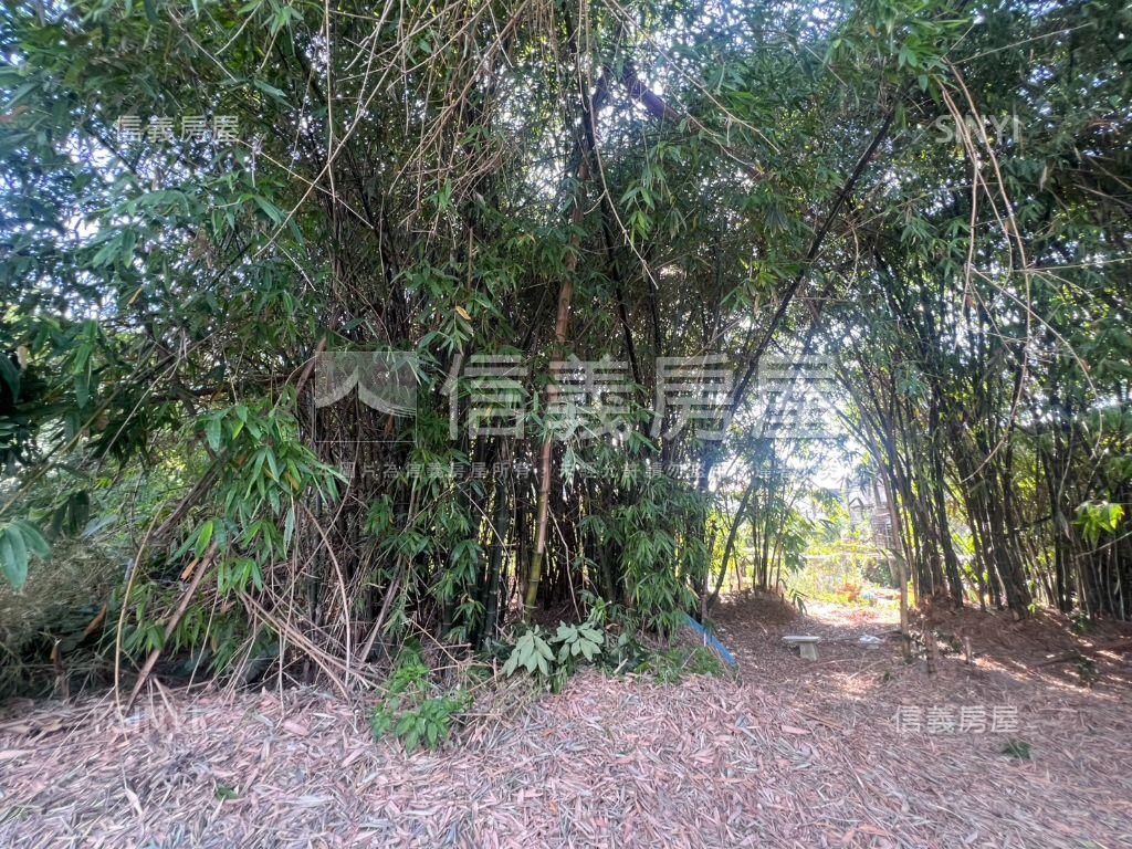 五股坑一段土地房屋室內格局與周邊環境