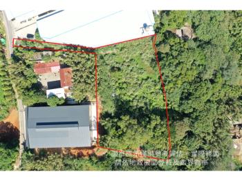 平鎮興隆路土地