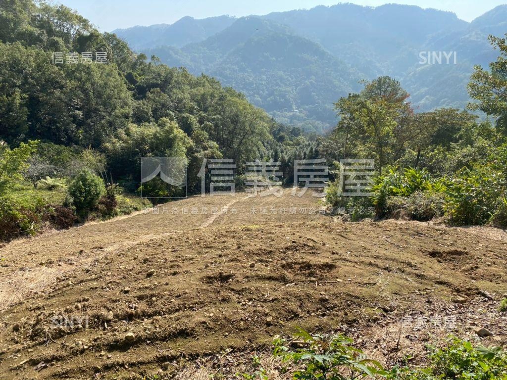 大山背休閒地房屋室內格局與周邊環境