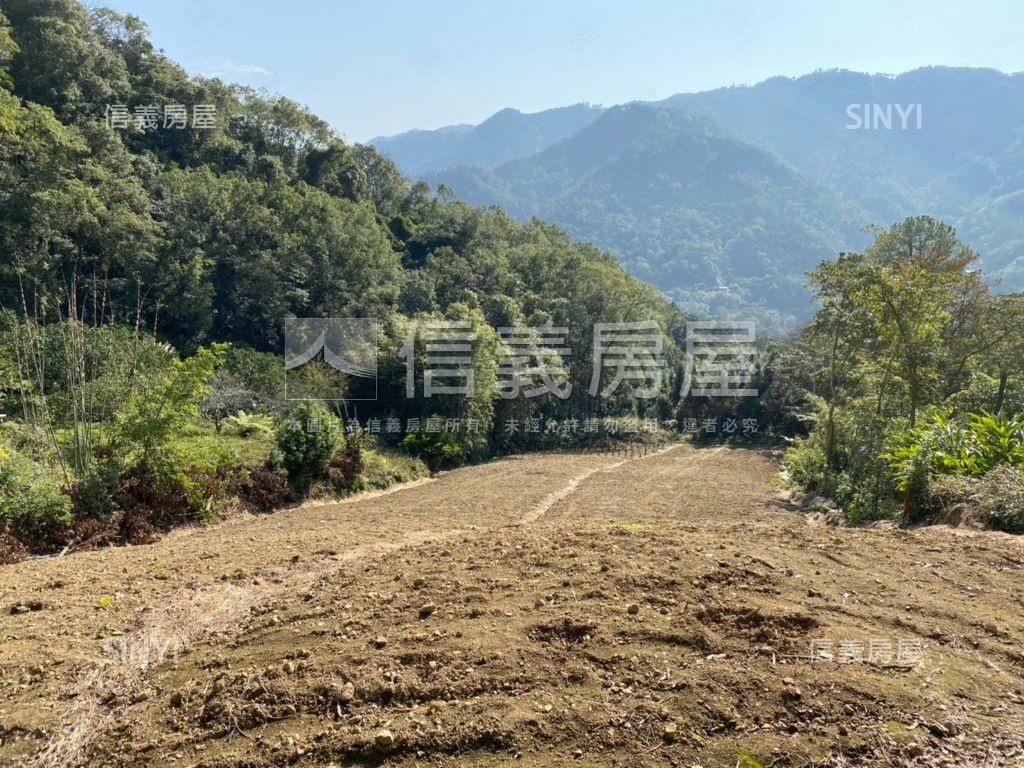 大山背休閒地房屋室內格局與周邊環境