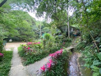 圓通市區旁夜景土地