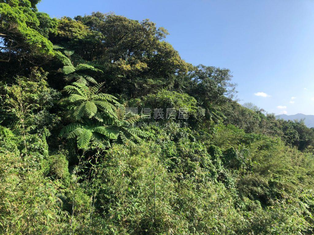福安街一樓好停車房屋室內格局與周邊環境