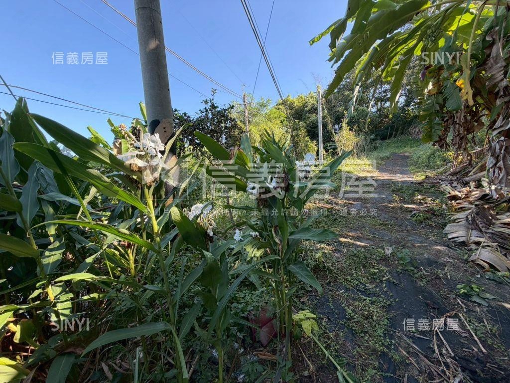 中寮臨中集路千坪農地２房屋室內格局與周邊環境