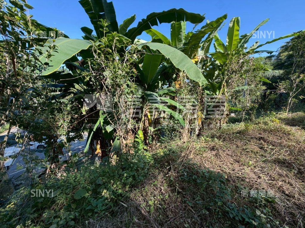 中寮臨中集路千坪農地２房屋室內格局與周邊環境