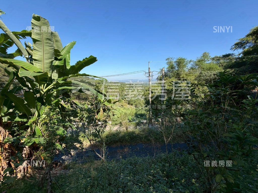 中寮臨中集路千坪農地２房屋室內格局與周邊環境