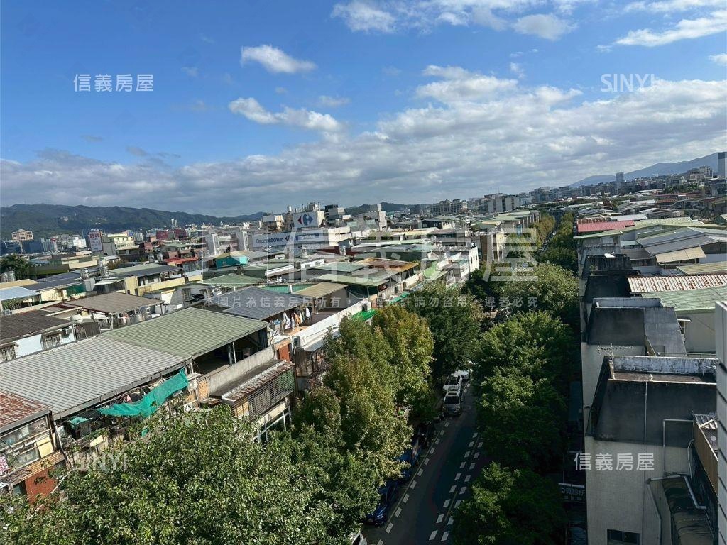 稀有樹海景觀電梯帶車位房屋室內格局與周邊環境