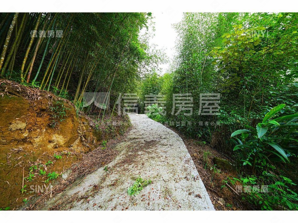 夢享大湖水岸旅館建照土地房屋室內格局與周邊環境