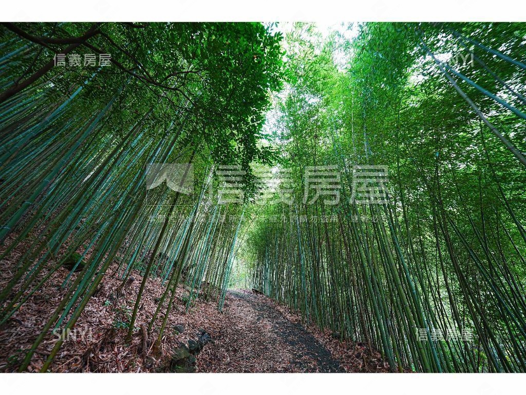 夢享大湖水岸旅館建照土地房屋室內格局與周邊環境