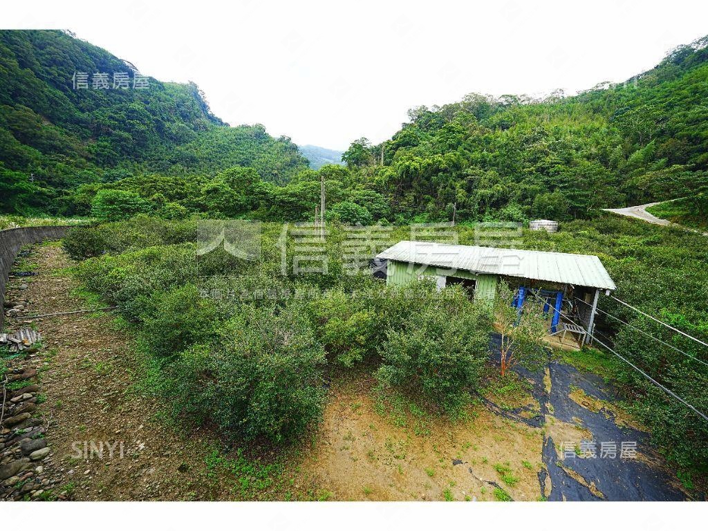 夢享大湖水岸旅館建照土地房屋室內格局與周邊環境