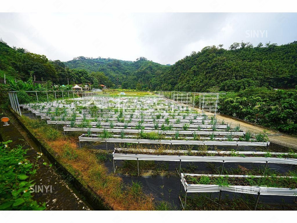 夢享大湖水岸旅館建照土地房屋室內格局與周邊環境