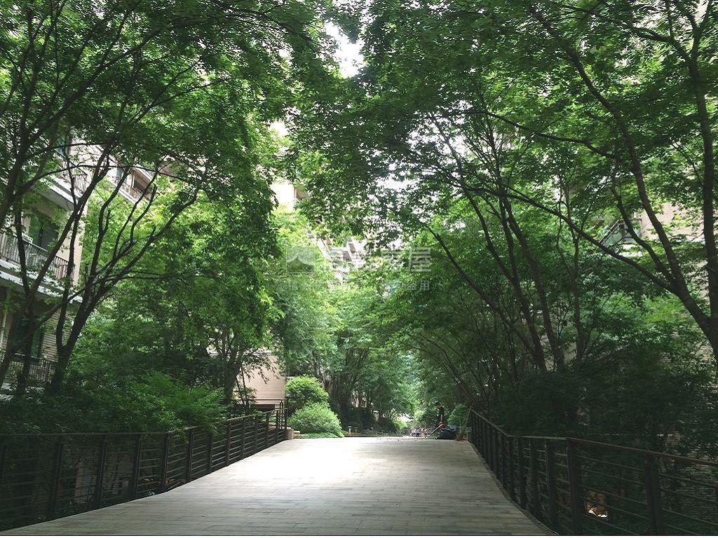 峰景鳳翔景觀面樹海房屋室內格局與周邊環境