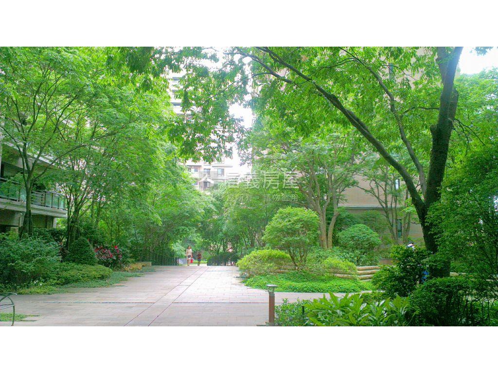 峰景鳳翔景觀面樹海房屋室內格局與周邊環境