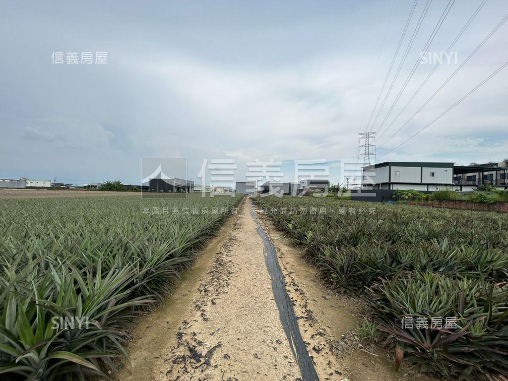 大寮江山Ａ都內農地房屋室內格局與周邊環境