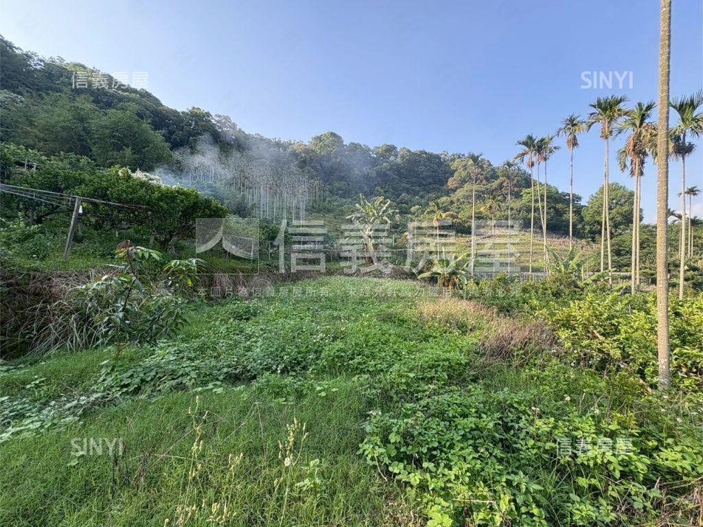 新社區水底寮段土地房屋室內格局與周邊環境