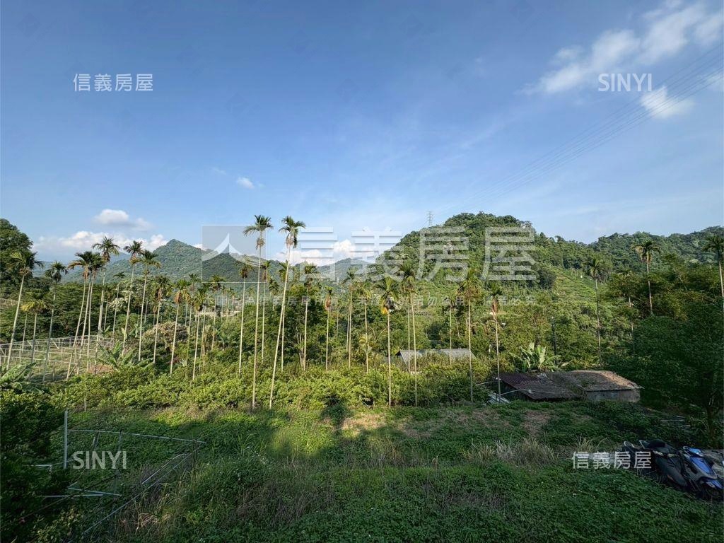 新社區水底寮段土地房屋室內格局與周邊環境