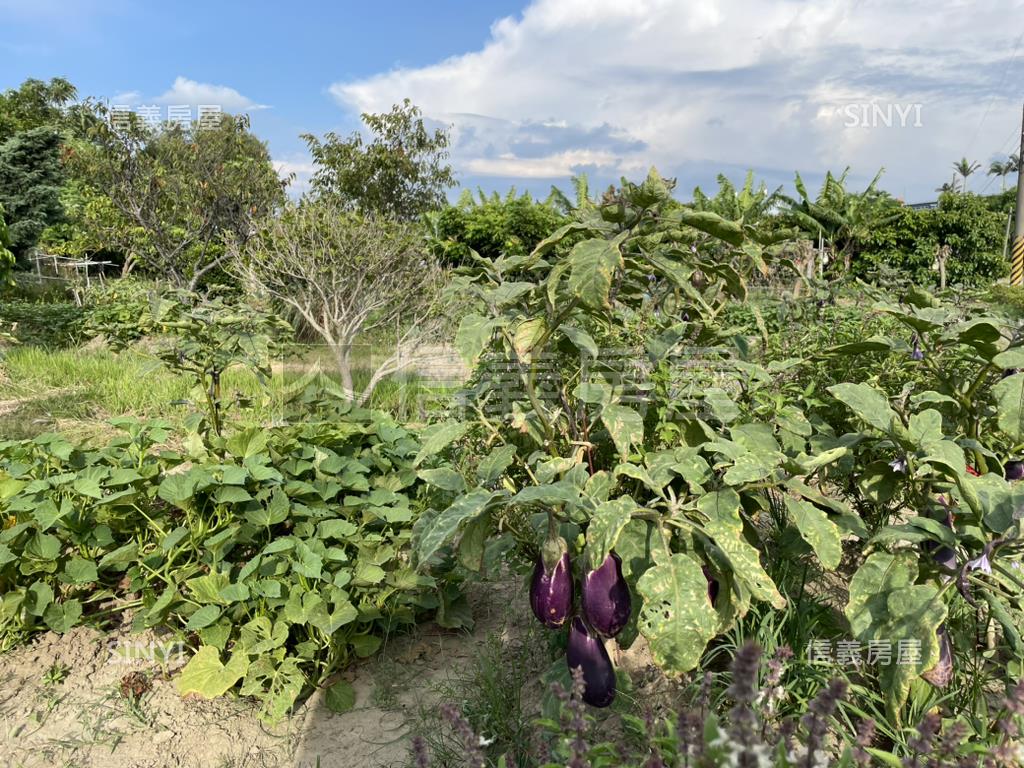 竹北開心農場大農舍房屋室內格局與周邊環境