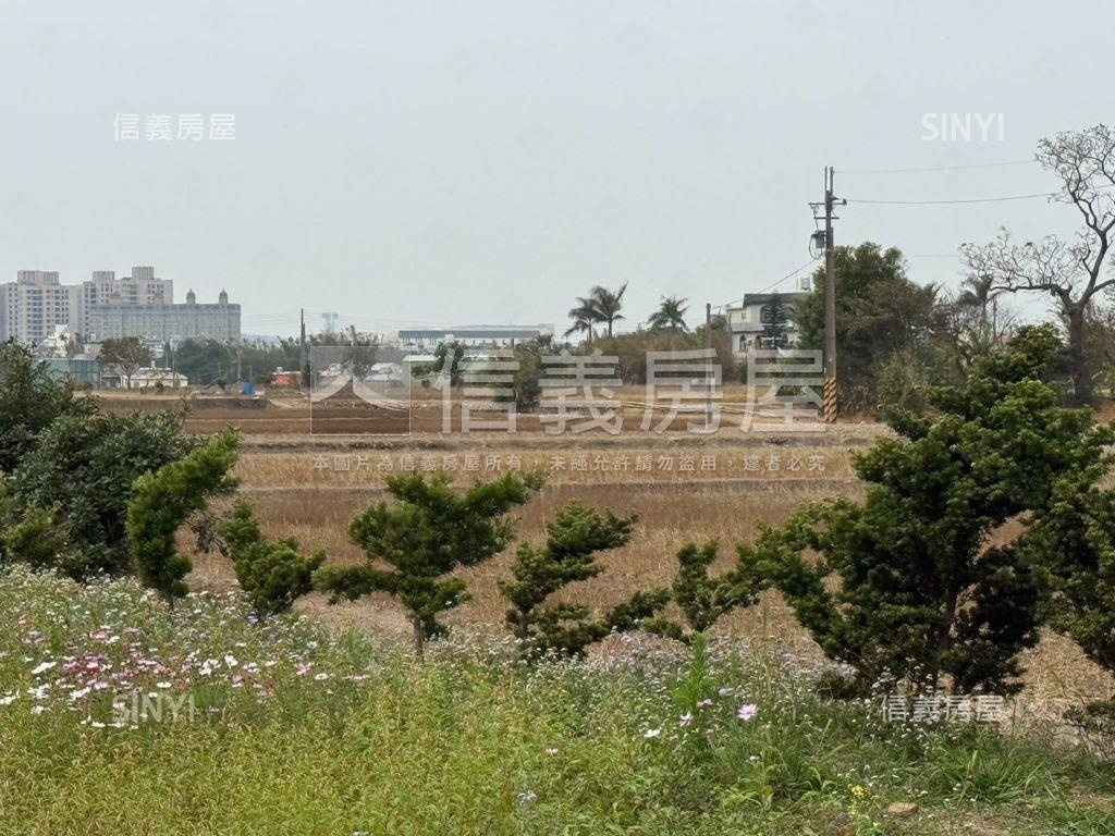 龍潭便宜臨路農地即刻預約房屋室內格局與周邊環境