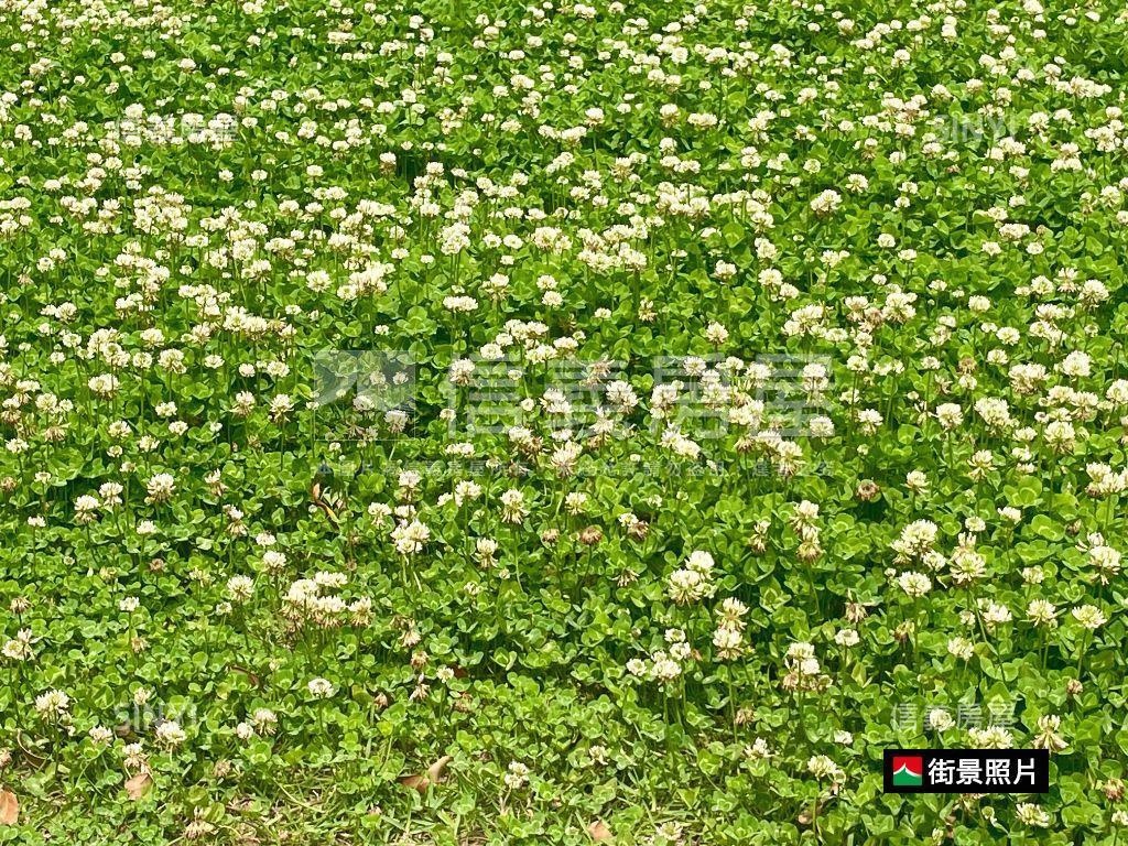 崙坪田園大莊園生活房屋室內格局與周邊環境