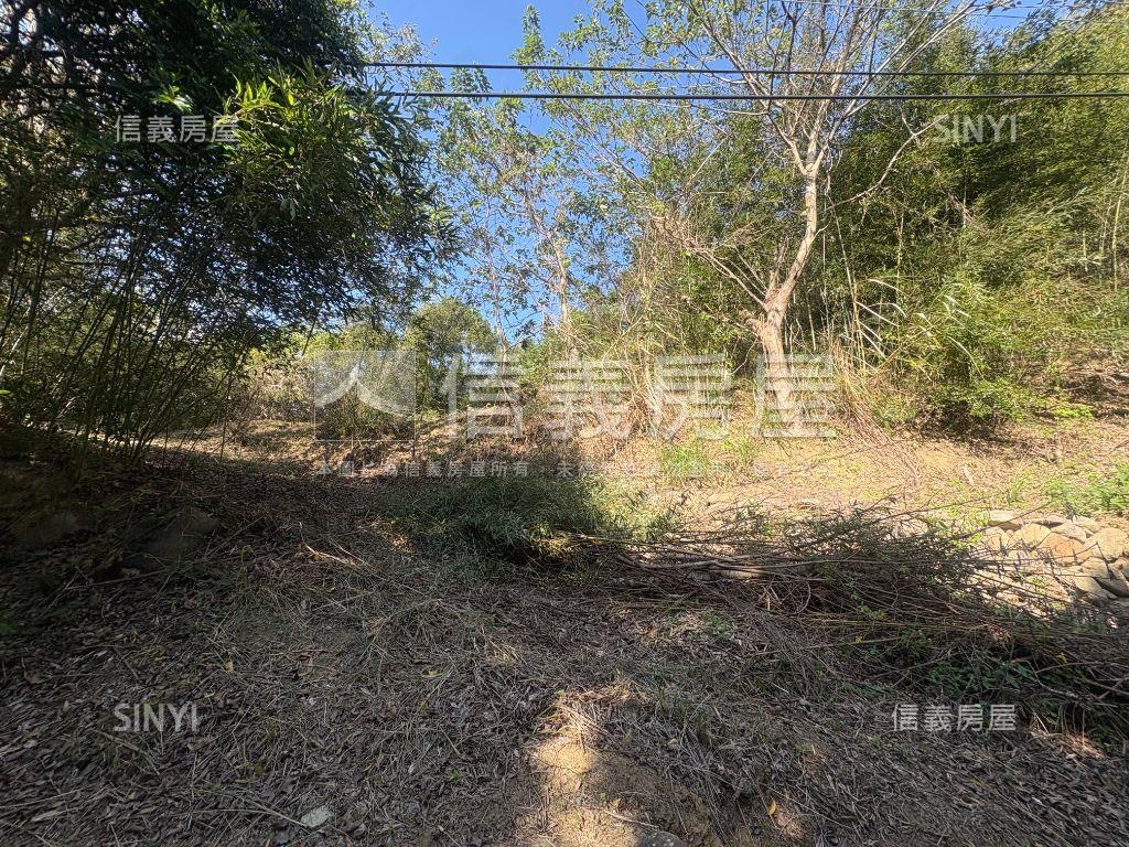 新竹寶山綠色山莊土地房屋室內格局與周邊環境