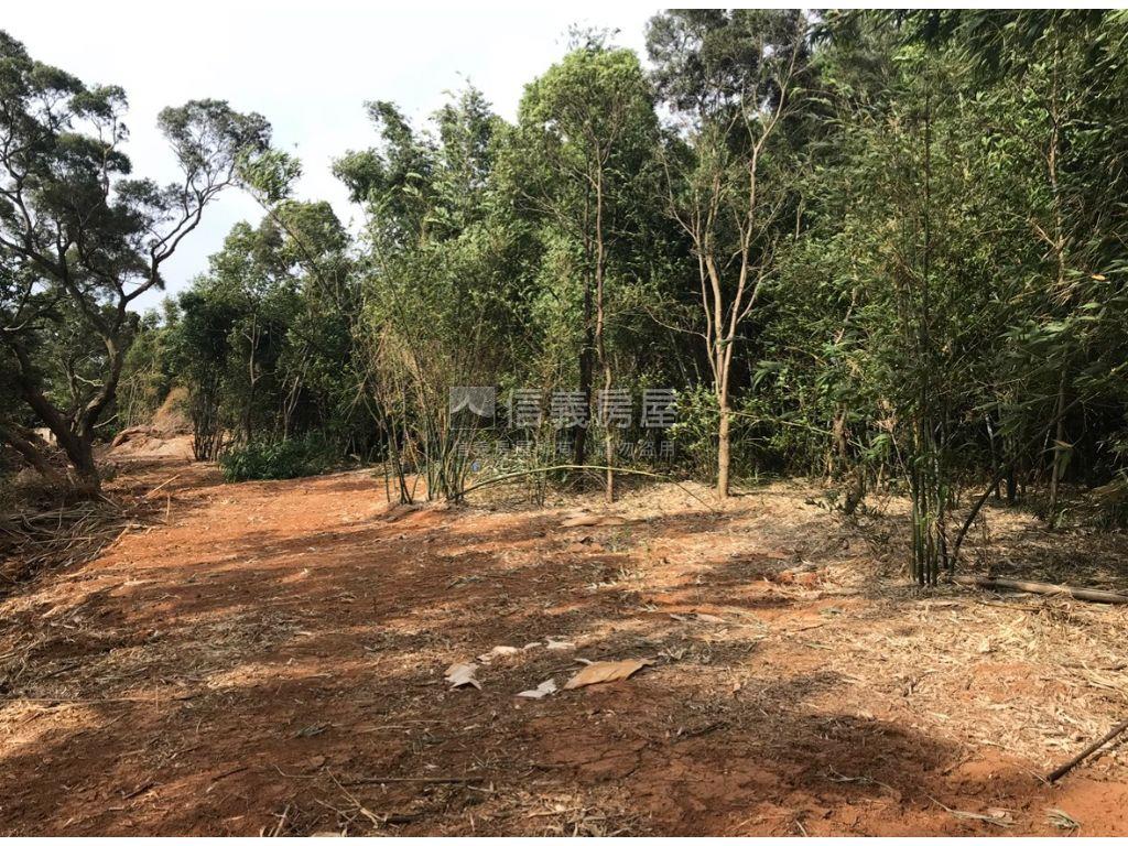 香山醫專段農牧用地房屋室內格局與周邊環境