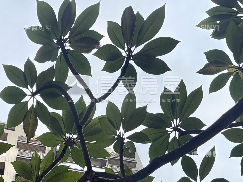 【灣頂】稀有三房＋車位房屋室內格局與周邊環境