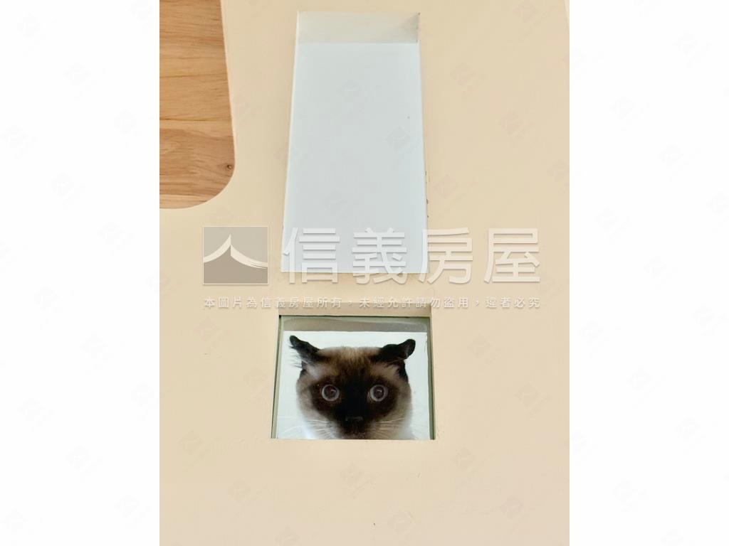 青年時代｜溫馨質感宅房屋室內格局與周邊環境