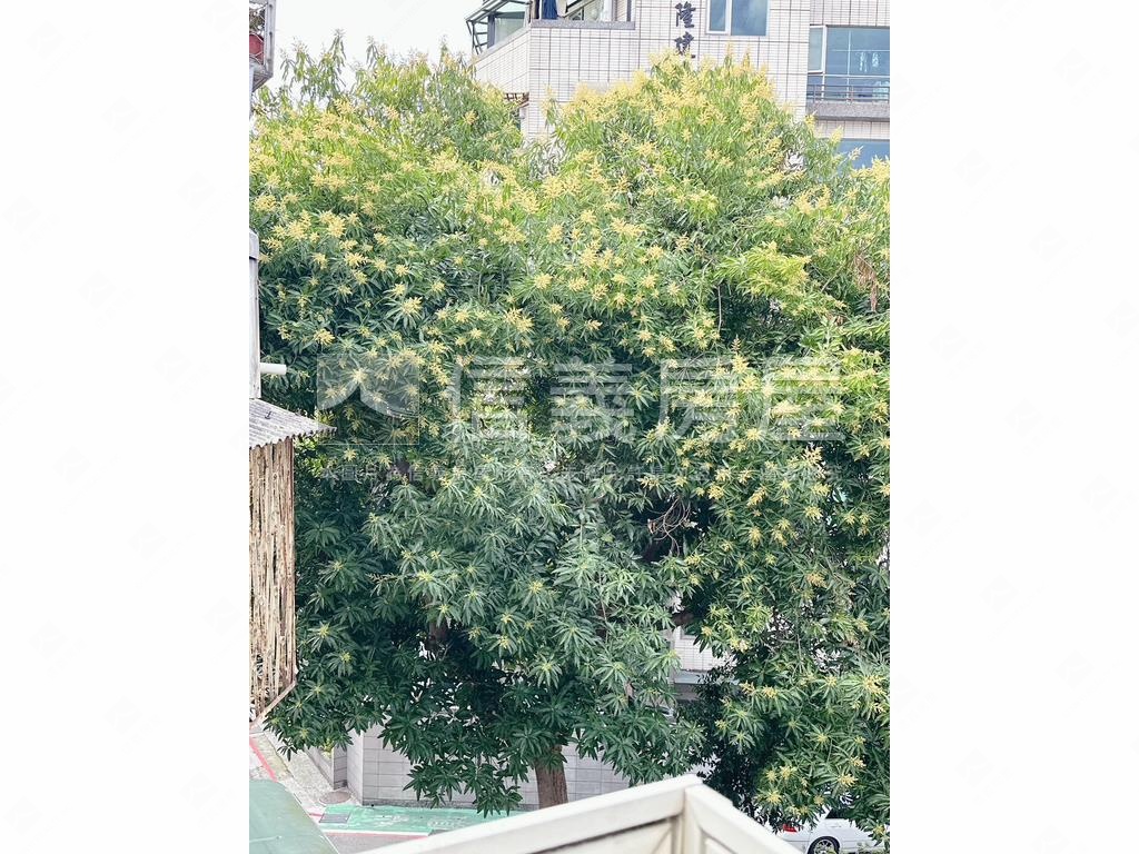 中正區低總花園頂加美寓房屋室內格局與周邊環境
