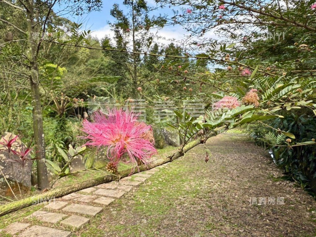 近５萬坪綠能美地夢想莊園房屋室內格局與周邊環境