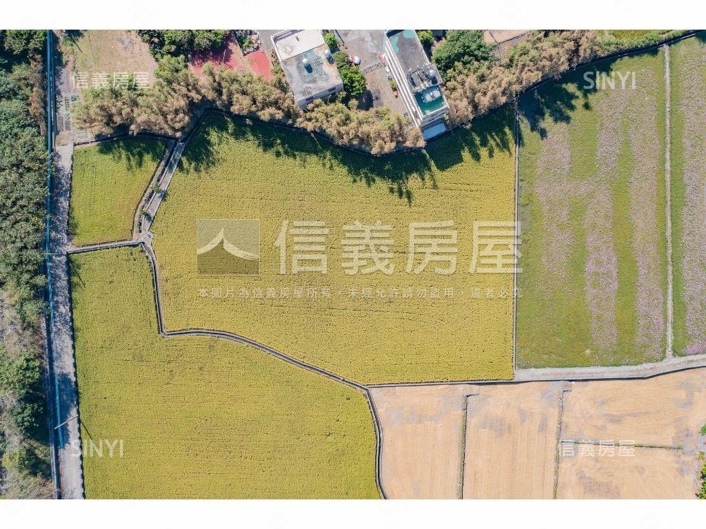 單坪不用一萬土地稀有釋出房屋室內格局與周邊環境
